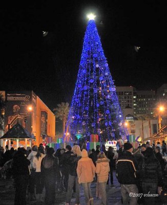 The Giant Christmas Tree