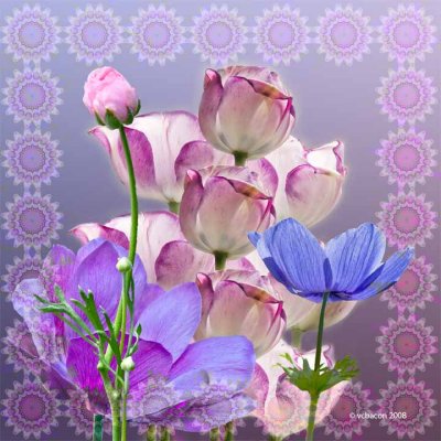 Tulips with Border