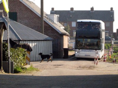 g3/85/422485/3/95376774.7lJw3cE5.jpg