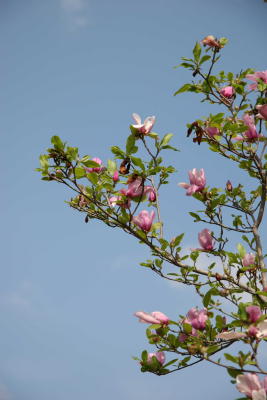 g3/85/436185/3/57244013.DPP_0069.jpg