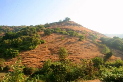 Landscape of Alibaug