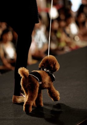 FASHION SHOW FOR DOGS