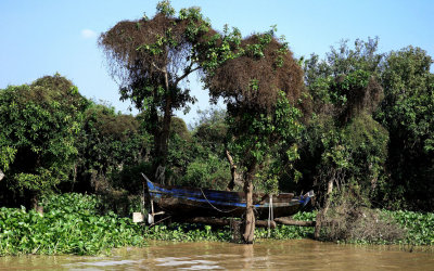 TONLE SAP LAKE