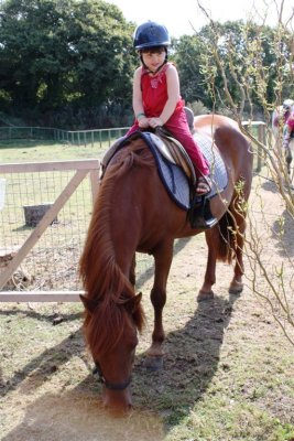 Risn Pony Riding