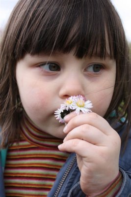 Smelling daisies