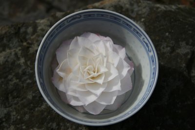 Flower in Bowl