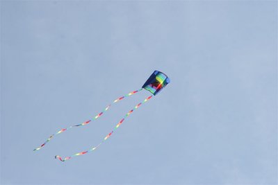 Kite Close Up