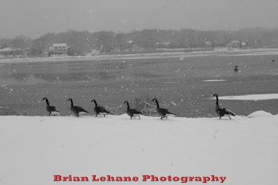 IMG_0449a.jpg