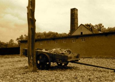 Buchenwald DE