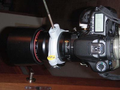 ss_p2200031.jpg