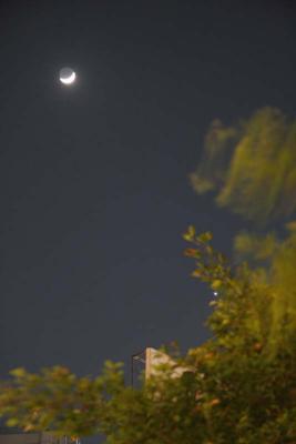 img_5738_s.jpg