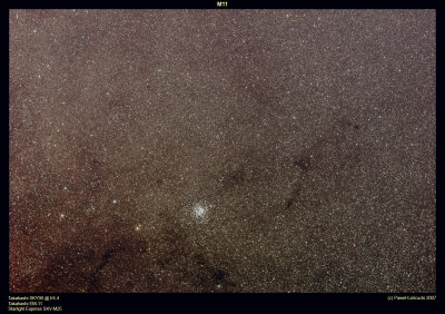 M11 - Wild Duck Cluster