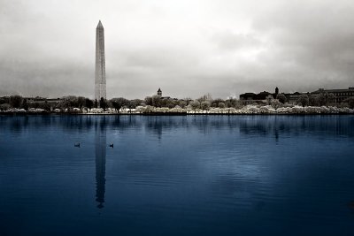 Washington Monument over the Tidal Basin