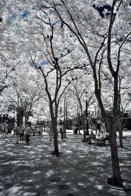 Westlake Park