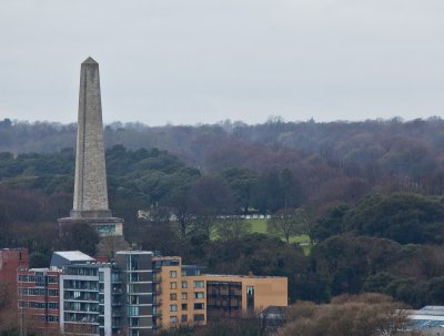 The Wellington Monument