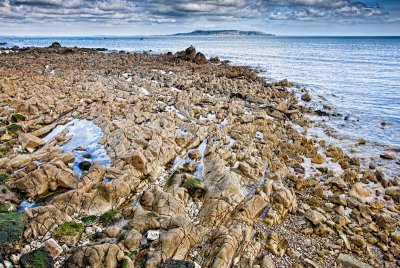 Rocks and Birds