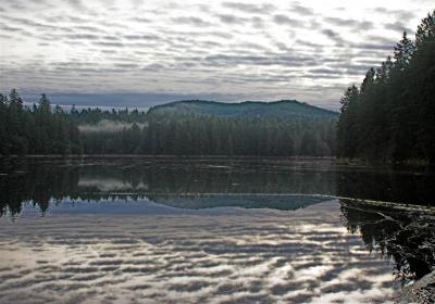 Lakeside Reflection