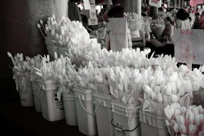 Pike Place IR 2