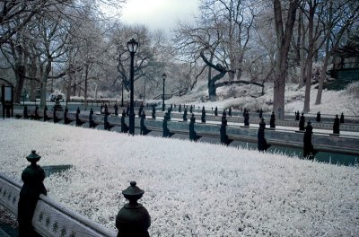 Central Park IR 2