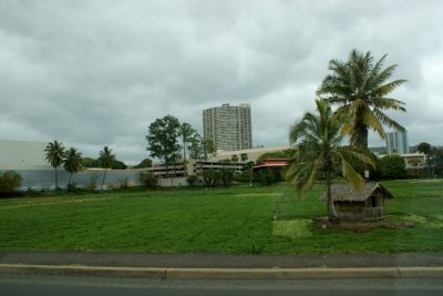 Honolulu - polje pirinca