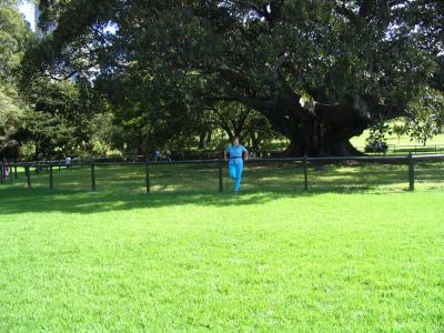 IMG_1134.JPG