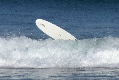 Surf Day 24