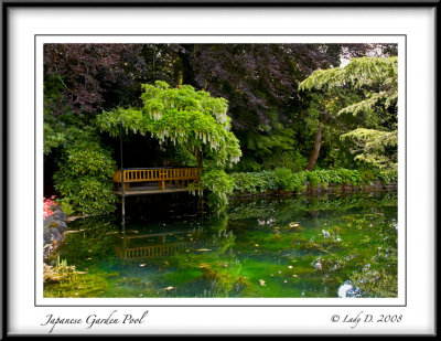 Japanese Garden