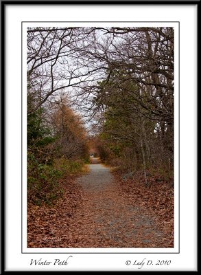 Winter Path