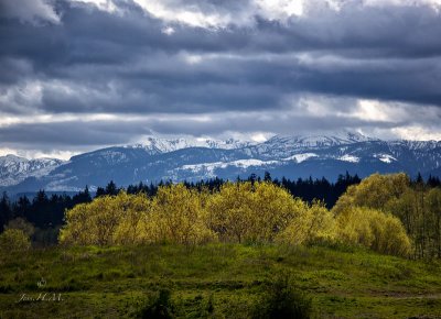 Beaufort Range