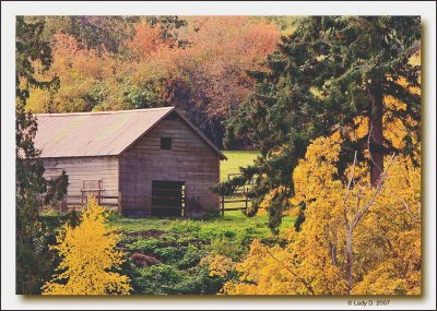 Autumn in the Little Qualicum