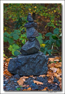 Rock Balancing.