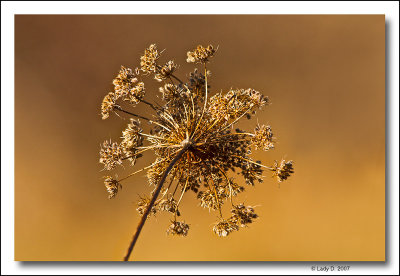 Farewell to Autumn