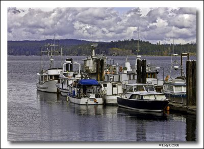 Campbell River Harbour