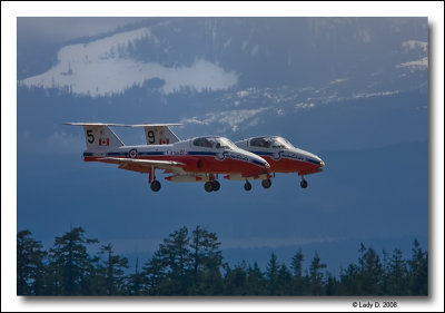 Snowbirds Landing in tandem.