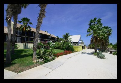 LionsDive Beach Restort