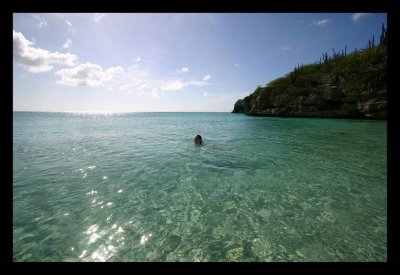 Grote Knip