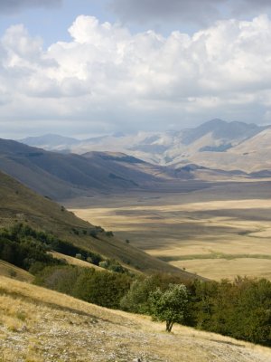 Piano grande di Castelluccio.jpg