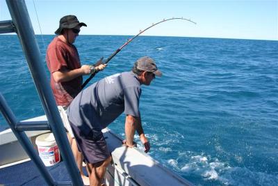 On board Billfish