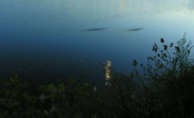 ReservoirBlur.jpg