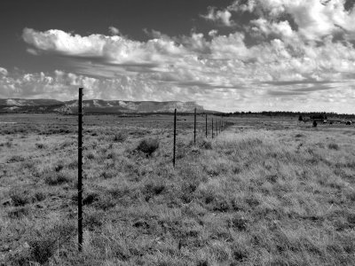 Bryce - Barbed Wire Field.JPG