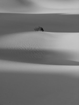 Death Valley - Tuft.JPG