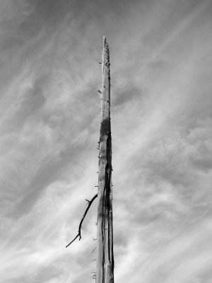 Grand Teton - Stump In The Sky.JPG