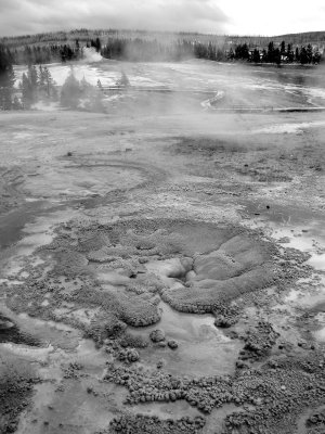 Yellowstone - Upper Geyser Basin.JPG
