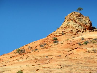 Zion - Seussian Slickrock.JPG