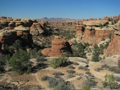 Canyonlands Needles - Seussical.JPG