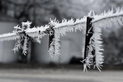 Clothes Line 