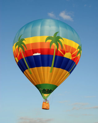 Tropical hot air balloon