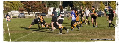 Rugby Hooligans in Wanaka