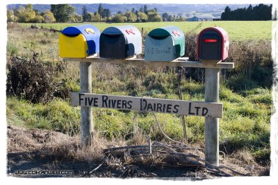 Welcome to Five Rivers, New Zealand, where our rivers outnumber our residents.