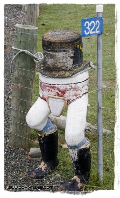 Lawn Jockey.